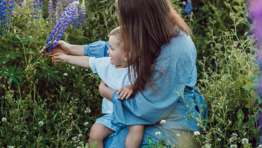Refresh your child support or custody agreement with Guthrie Law in the greater Toronto Area.