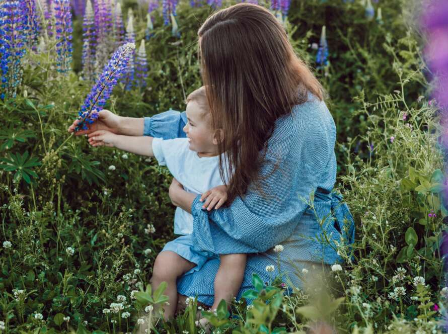 Refresh your child support or custody agreement with Guthrie Law in the greater Toronto Area.